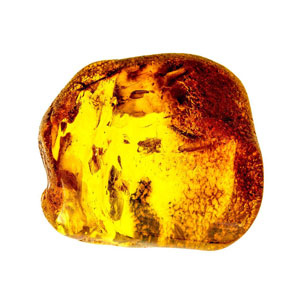 Amber-bracelet